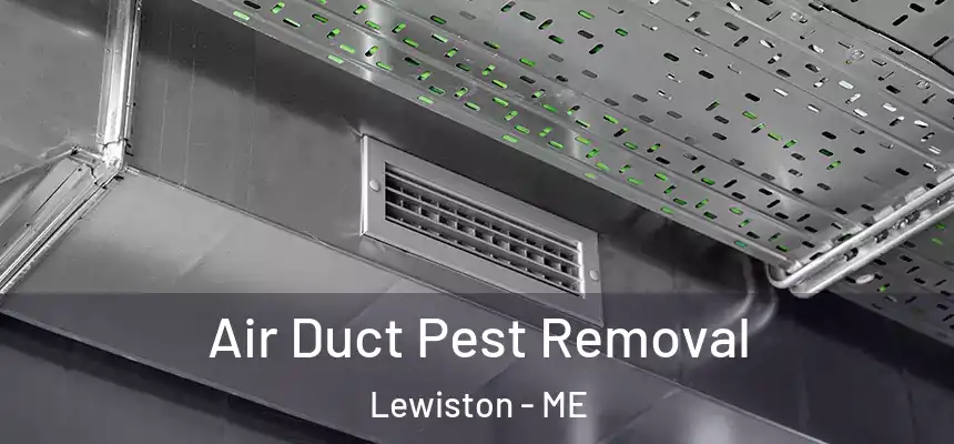 Air Duct Pest Removal Lewiston - ME