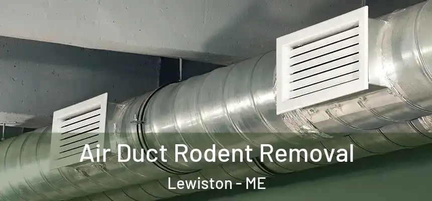 Air Duct Rodent Removal Lewiston - ME