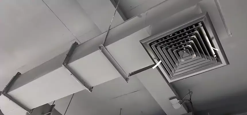 Our Pest Removal From Ducts Services in Lewiston, ME