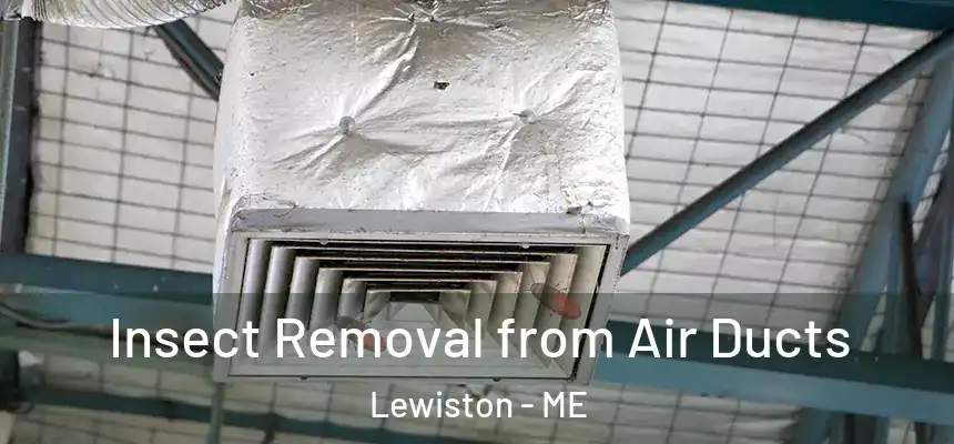 Insect Removal from Air Ducts Lewiston - ME
