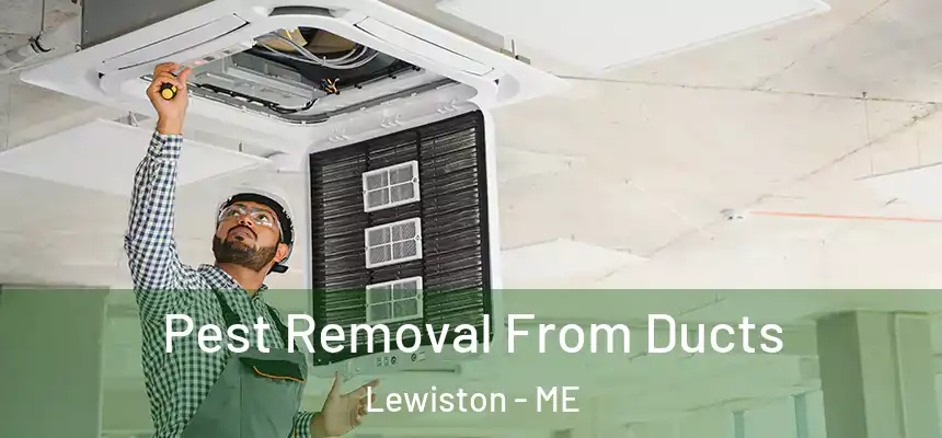  Pest Removal From Ducts Lewiston - ME
