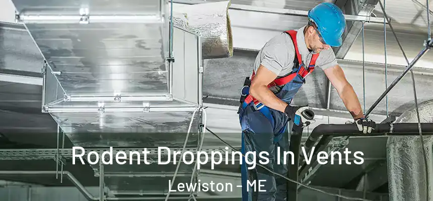 Rodent Droppings In Vents Lewiston - ME
