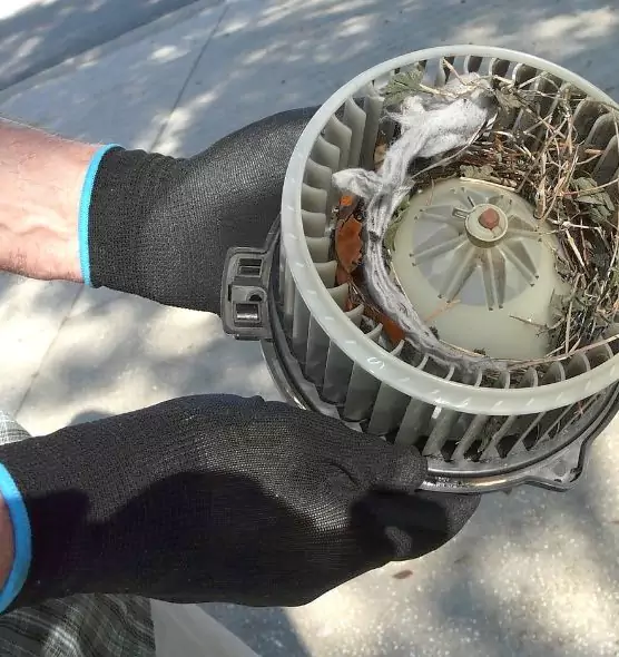 About Air Duct Mice Removal in Lewiston, ME