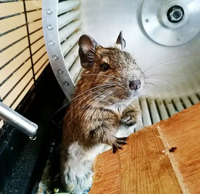 Why Homeowners & Businesses Trust Us Lewiston, ME?